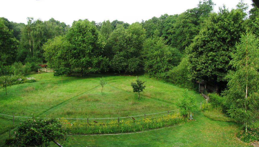 Vakantieverblijf Volmolen B&B Маасейк Экстерьер фото