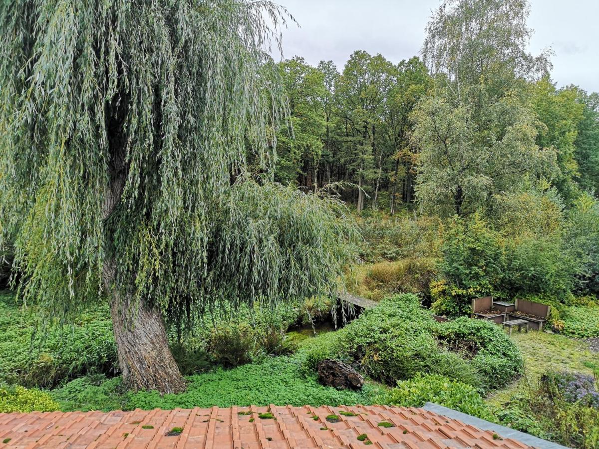 Vakantieverblijf Volmolen B&B Маасейк Экстерьер фото